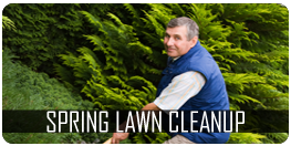 spring lawn clean up in Lloydminster, Alberta