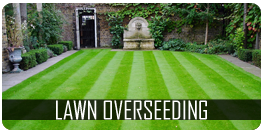 lawn overseeding