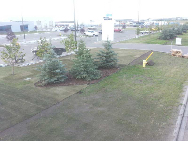 Commercial landscaping solutions in Cold Lake